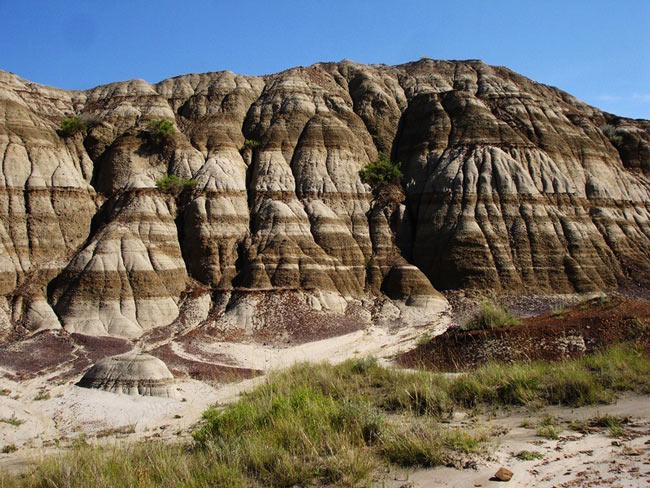 Picture 2 of Park of dinosaur fossils - Canada