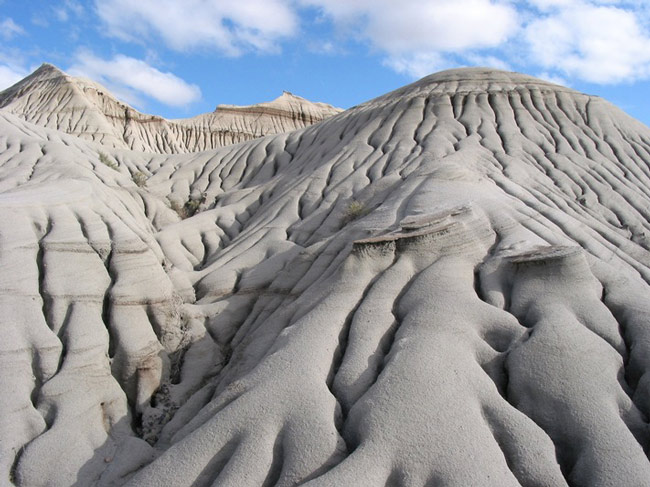 Picture 3 of Park of dinosaur fossils - Canada