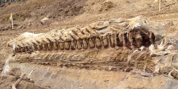 Picture 7 of Park of dinosaur fossils - Canada