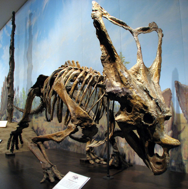 Picture 8 of Park of dinosaur fossils - Canada