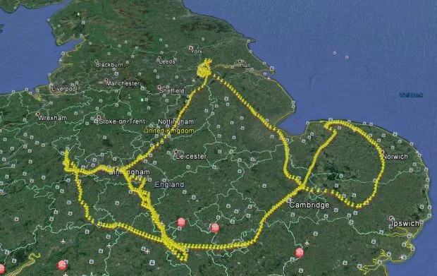 Picture 2 of Passionate, nearly 1,000km flight to find