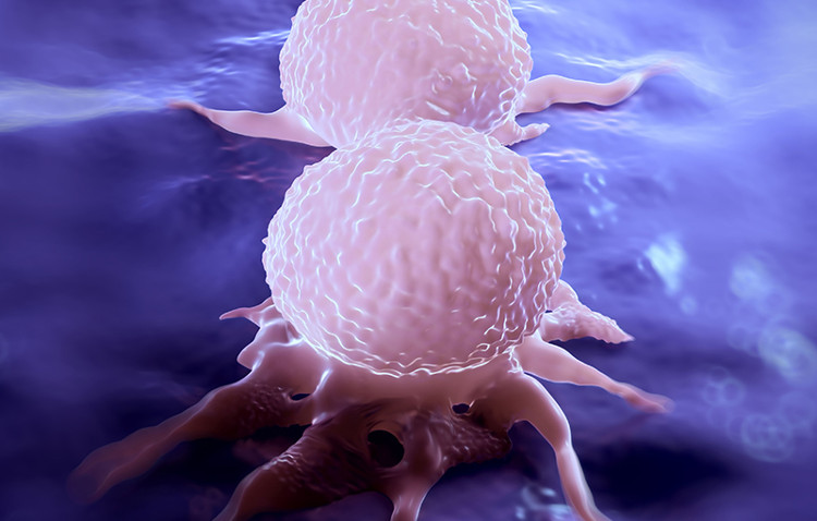 Picture 1 of Patients with breast cancer can avoid metastatic