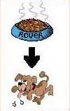 Picture 1 of Pavlov - Conditional reflexes