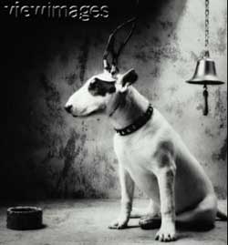 Picture 2 of Pavlov - Conditional reflexes