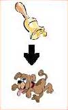 Picture 3 of Pavlov - Conditional reflexes