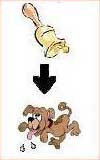 Picture 6 of Pavlov - Conditional reflexes
