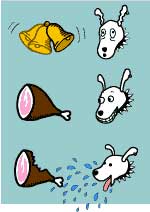 Picture 7 of Pavlov - Conditional reflexes