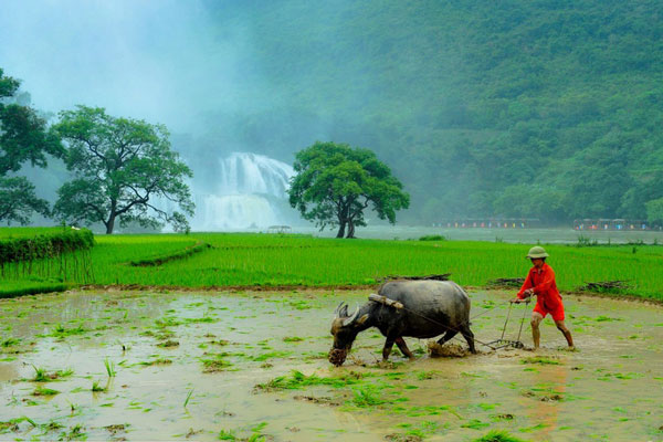 Picture 12 of Peaceful moments of heterosexual Vietnam