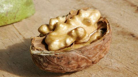 Picture 1 of Pecans can prevent prostate cancer