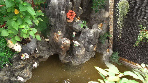 Picture 1 of Penjing and coral reef