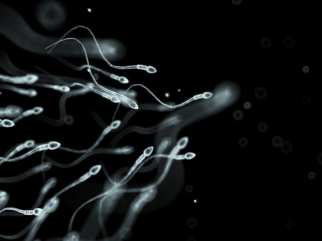 Picture 1 of People are at risk of extinction because of the risk of infertility increases by 60%.