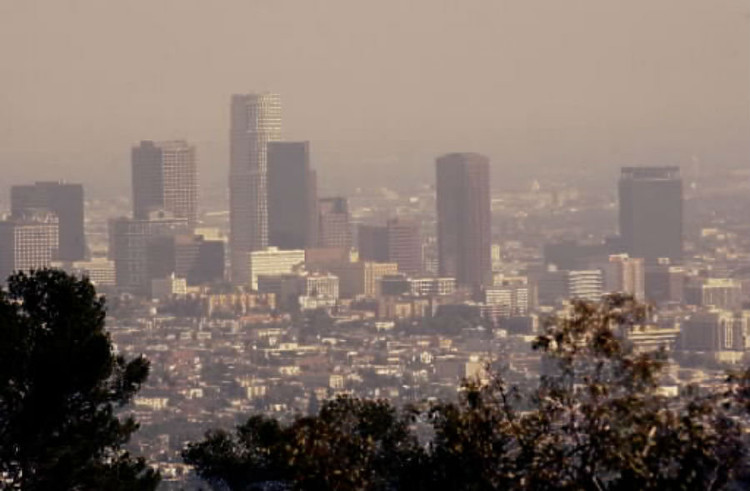 Picture 1 of People are losing their sense of smell because of pollution