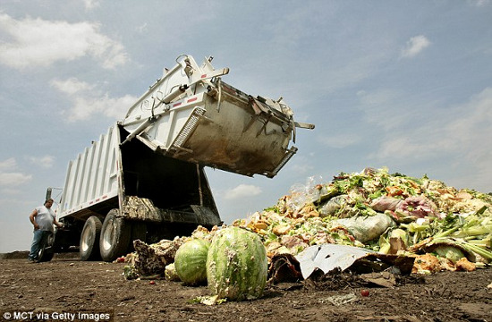 Picture 2 of People are wasting food