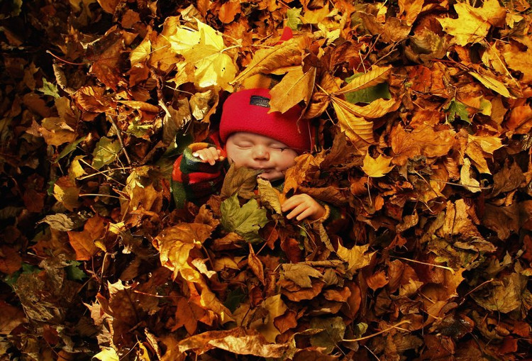 Picture 3 of People born in October are sick, and it turns out that the relationship between birth month and health is real