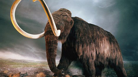 Picture 1 of People change the climate thousands of years ago?