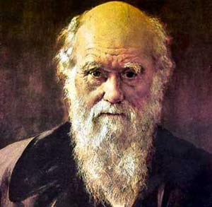 Picture 1 of People don't seem to follow the laws of evolution