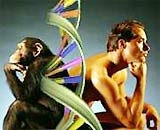 Picture 2 of People don't seem to follow the laws of evolution