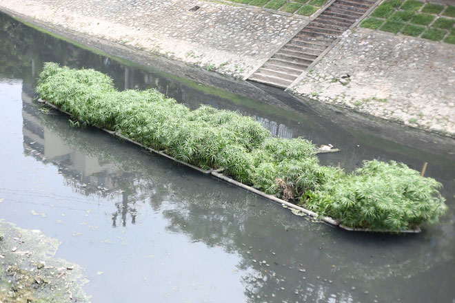 Picture 6 of People 'leisurely' sit fishing on the banks of To Lich River