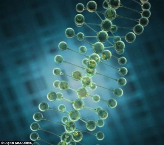Picture 1 of People use only 8% of DNA
