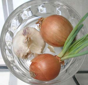 Picture 1 of People who eat a lot of garlic onions are less likely to have cancer