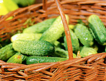 Picture 1 of People with hypertension should eat cucumbers