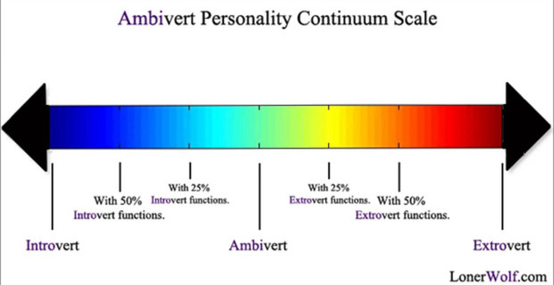 Picture 2 of Personality inward - outward and unknown aspects