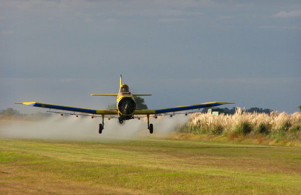 Picture 1 of Pesticides affect 3 generations