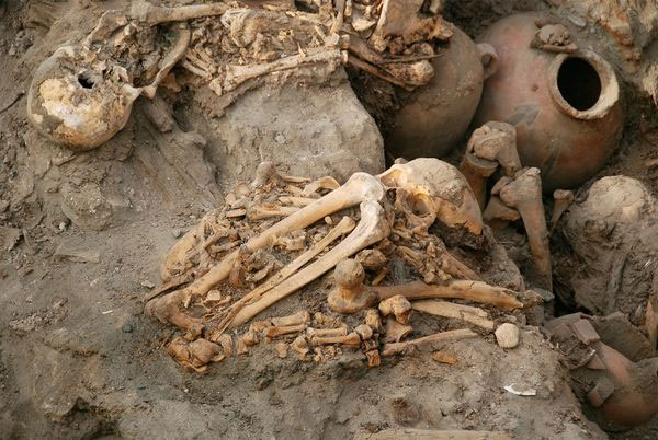 Picture 2 of Phat found a mass grave of mummies