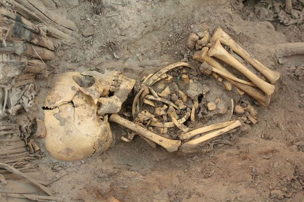 Picture 4 of Phat found a mass grave of mummies