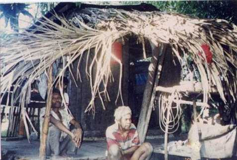Picture 3 of Philippine village many giant pythons like to attack men