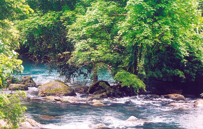 Picture 7 of Phong Nha - Ke Bang National Park: The first wonders of the cave