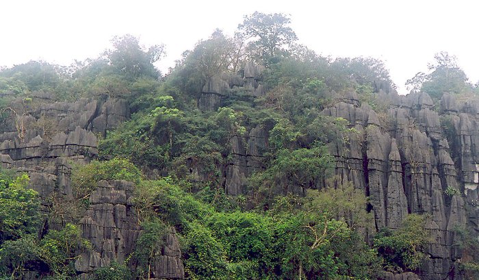 Picture 8 of Phong Nha - Ke Bang National Park: The first wonders of the cave