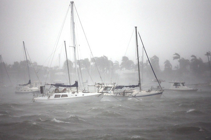 Picture 8 of Photo: Death storm Irma landed on Florida, causing casualties for Americans