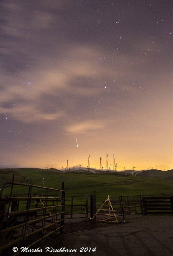 Picture 8 of Photo 'hot': Geminid meteor shower 'visit' Earth