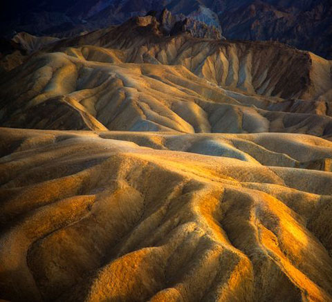 Picture 5 of Photo nature won the international award