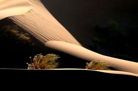 Picture 7 of Photo nature won the international award