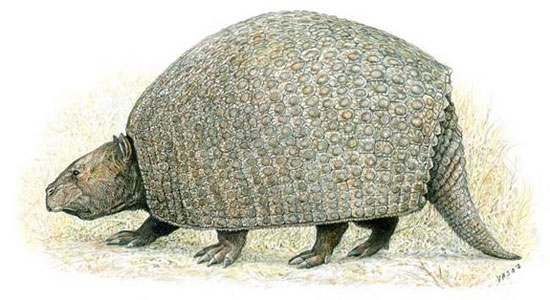 Picture 11 of Photo reconstruction of extinct animals