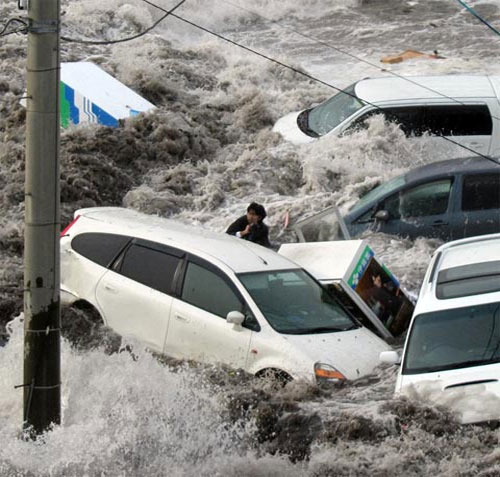 Picture 4 of Photo reporter miraculously survived the tsunami