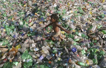Picture 10 of Photo scary about the environment
