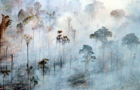 Picture 8 of Photo scary about the environment