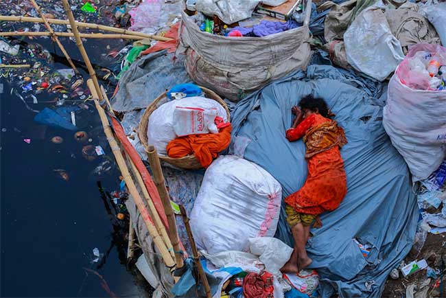 Picture 6 of Photos about the most beautiful environment in 2019