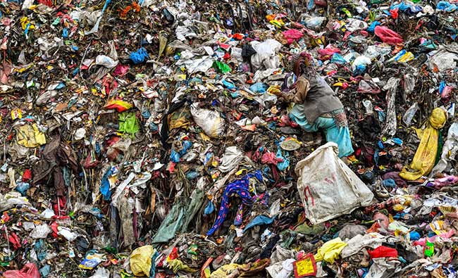 Picture 7 of Photos about the most beautiful environment in 2019
