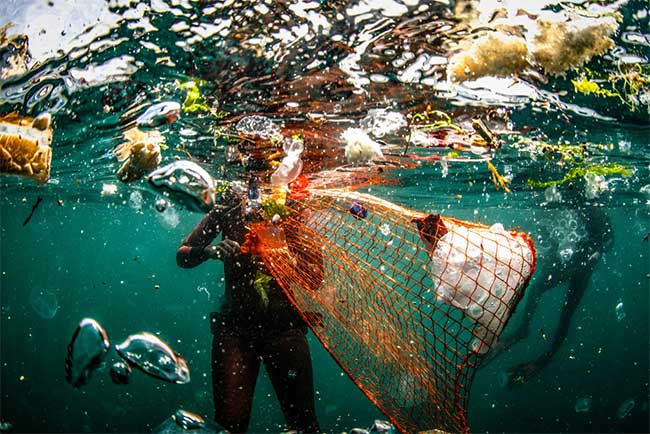 Picture 8 of Photos about the most beautiful environment in 2019