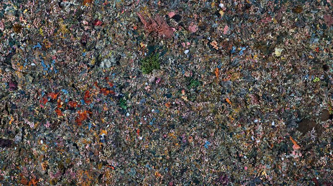 Picture 4 of Photos of Anthropocene: How do people devastate the Earth?