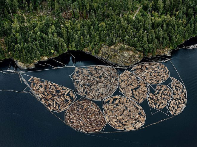 Picture 8 of Photos of Anthropocene: How do people devastate the Earth?