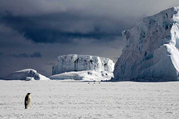 Picture 3 of Photos of melting ice are surprisingly beautiful but startling