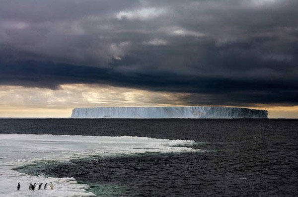 Picture 5 of Photos of melting ice are surprisingly beautiful but startling