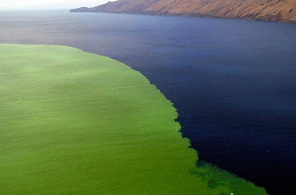 Picture 14 of Photos of Mother Nature