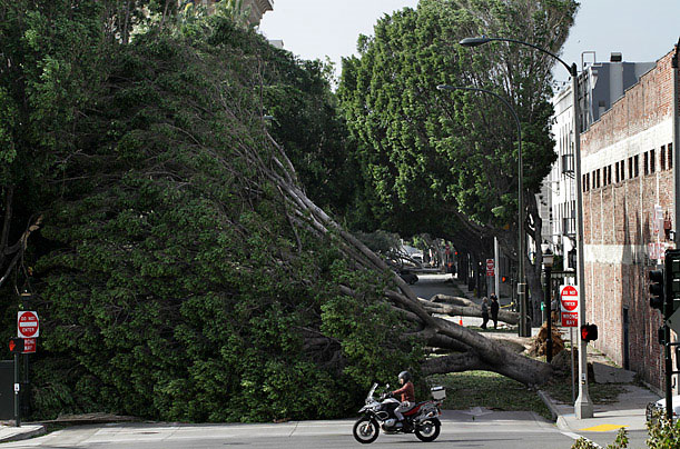 Picture 16 of Photos of Mother Nature