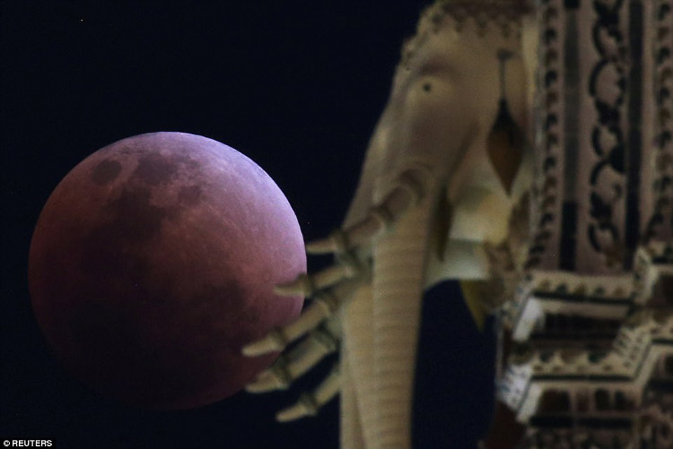 Picture 9 of Photos: Super blood moon and blue moon all over the world